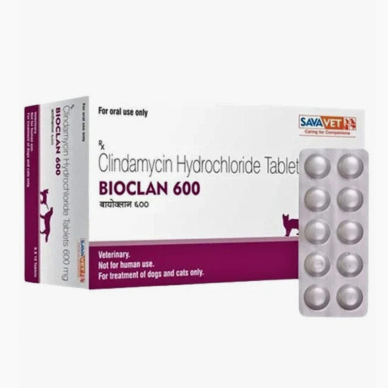 Bioclan 600mg Tablet – SPmedex